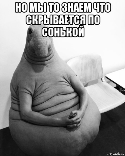 но мы то знаем что скрывается по сонькой , Мем  Ждун