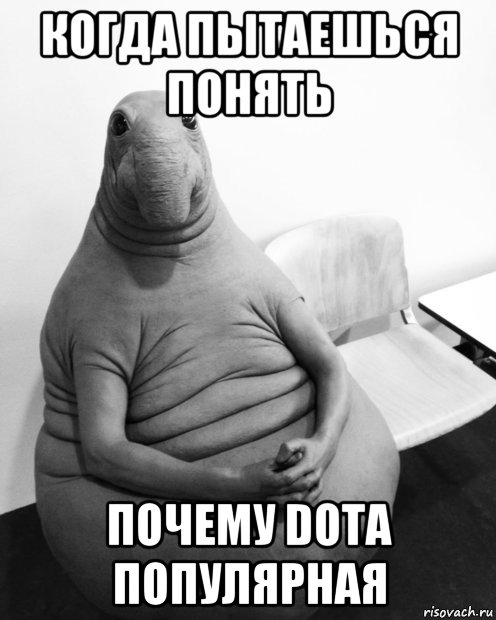 когда пытаешься понять почему dota популярная, Мем  Ждун