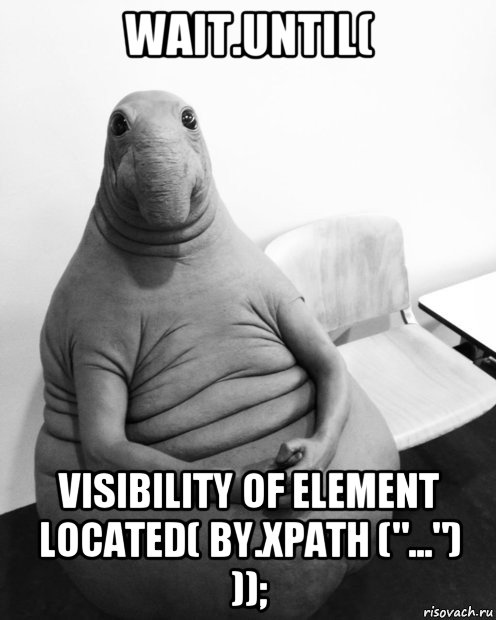 wait.until( visibility of element located( by.xpath ("...") ));, Мем  Ждун