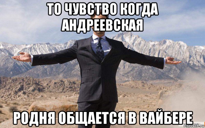 то чувство когда андреевская родня общается в вайбере, Мем железный человек