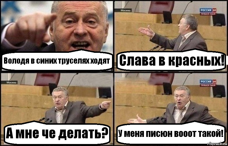 Володя в синих труселях ходят Слава в красных! А мне че делать? У меня писюн вооот такой!, Комикс Жириновский