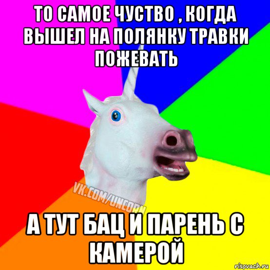 то самое чуство , когда вышел на полянку травки пожевать а тут бац и парень с камерой, Мем Единорог Социофоб