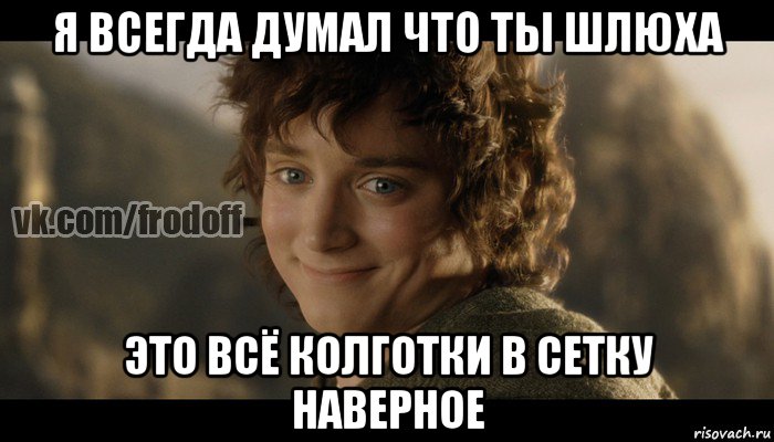 я всегда думал что ты шлюха это всё колготки в сетку наверное, Мем  Фродо