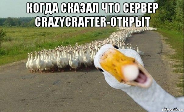 когда сказал что сервер crazycrafter-открыт , Мем гуси