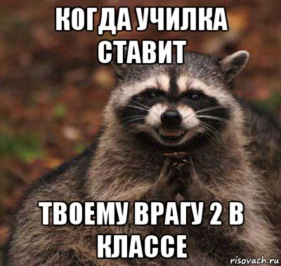 когда училка ставит твоему врагу 2 в классе, Мем  Хитрый енот