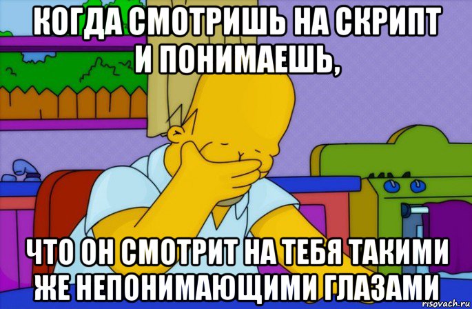 когда смотришь на скрипт и понимаешь, что он смотрит на тебя такими же непонимающими глазами, Мем Homer simpson facepalm