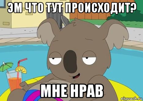 Картинка что тут происходит
