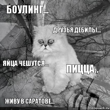 боулинг... пицца.. друзья дебилы... живу в Саратове... яйца чешутся...     , Комикс  кот безысходность