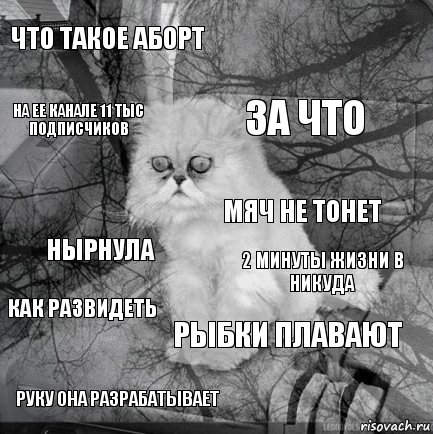 что такое аборт 2 минуты жизни в никуда за что руку она разрабатывает нырнула  рыбки плавают на ее канале 11 тыс подписчиков как развидеть мяч не тонет, Комикс  кот безысходность