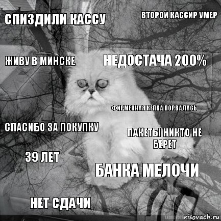 спиздили кассу пакеты никто не берет недостача 200% нет сдачи Спасибо за покупку Второй кассир умер банка мелочи Живу в Минске 39 лет фирменная кепка порвалась, Комикс  кот безысходность