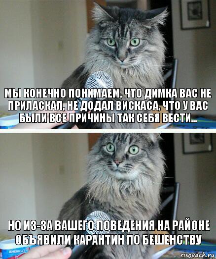 мы конечно понимаем, что димка вас не приласкал, не додал вискаса, что у вас были все причины так себя вести... но из-за вашего поведения на районе объявили карантин по бешенству, Комикс  кот с микрофоном