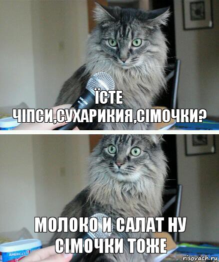 Їсте чіпси,сухарикия,сімочки? Молоко и салат ну сімочки тоже, Комикс  кот с микрофоном