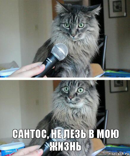  сантос, не лезь в мою жизнь, Комикс  кот с микрофоном