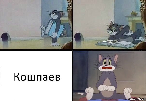 Кошпаев, Комикс  Кот Том в шоке