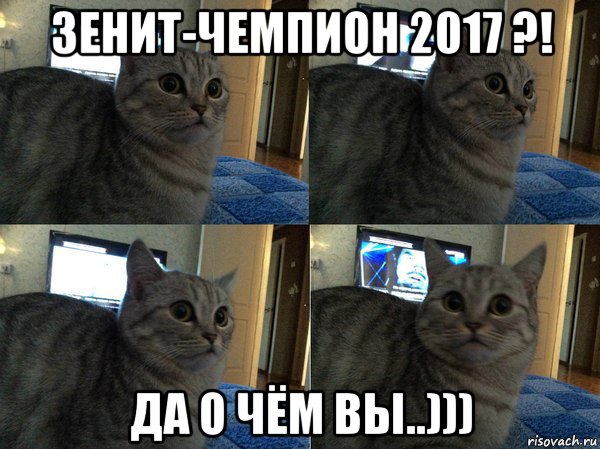 зенит-чемпион 2017 ?! да о чём вы..))), Мем  Кот в шоке