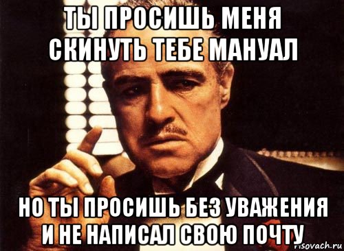 ты просишь меня скинуть тебе мануал но ты просишь без уважения и не написал свою почту, Мем крестный отец