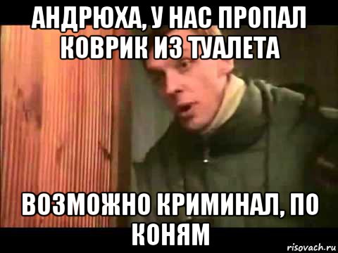 андрюха, у нас пропал коврик из туалета возможно криминал, по коням, Мем Ларин по коням