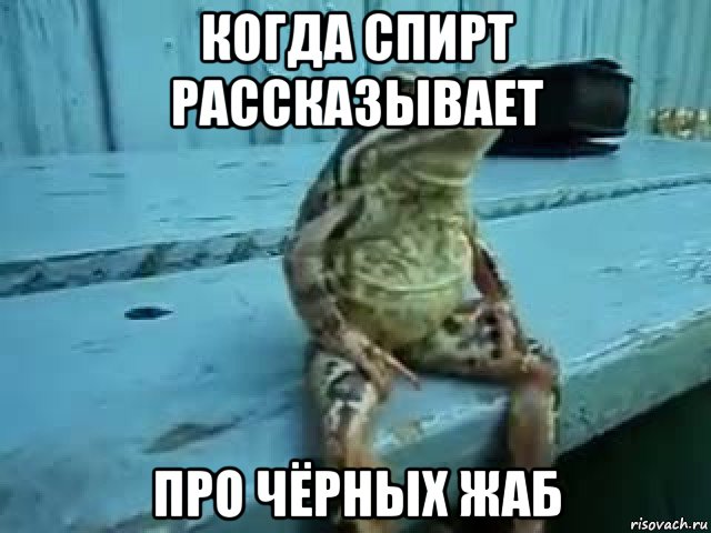 Дальше бога нет жаба