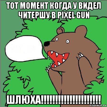 тот момент когда у видел читершу в pixel gun шлюха!!!!!!!!!!!!!!!!!!!!!, Мем Медведь-шлюха