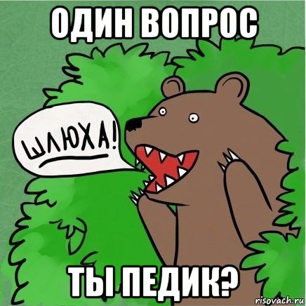 один вопрос ты педик?