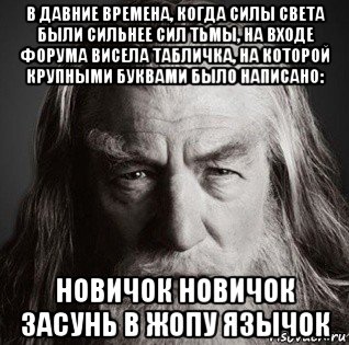 в давние времена, когда силы света были сильнее сил тьмы, на входе форума висела табличка, на которой крупными буквами было написано: новичок новичок засунь в жопу язычок, Мем  Гендальф-мудрец