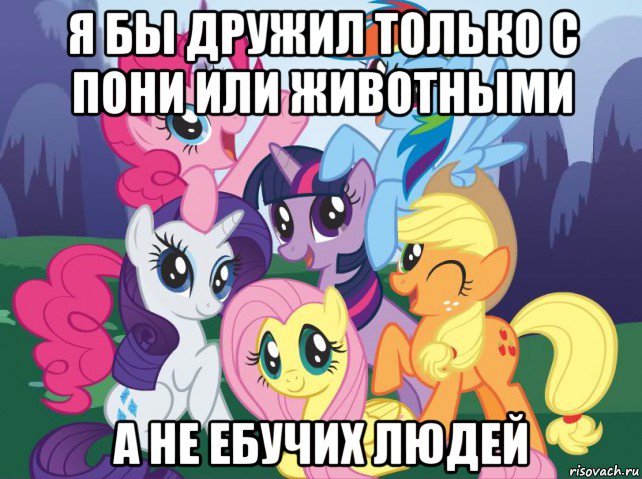 я бы дружил только с пони или животными а не ебучих людей, Мем My little pony