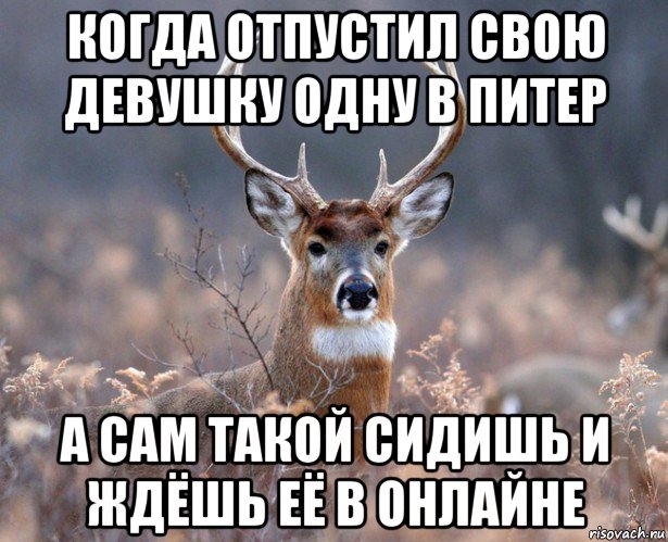 когда отпустил свою девушку одну в питер а сам такой сидишь и ждёшь её в онлайне, Мем   Наивный олень