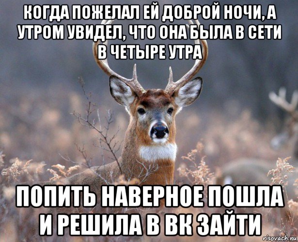 когда пожелал ей доброй ночи, а утром увидел, что она была в сети в четыре утра попить наверное пошла и решила в вк зайти, Мем   Наивный олень