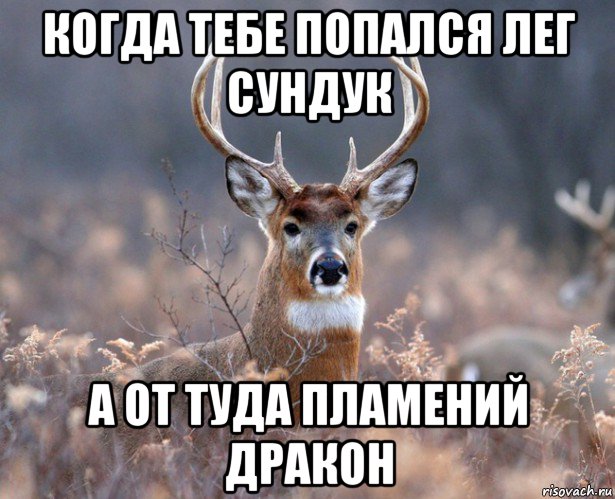 когда тебе попался лег сундук а от туда пламений дракон, Мем   Наивный олень