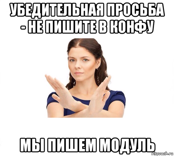 убедительная просьба - не пишите в конфу мы пишем модуль, Мем Не зовите