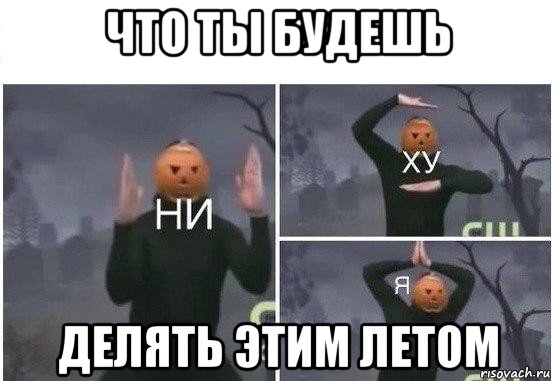 что ты будешь делять этим летом, Мем  Ни ху Я