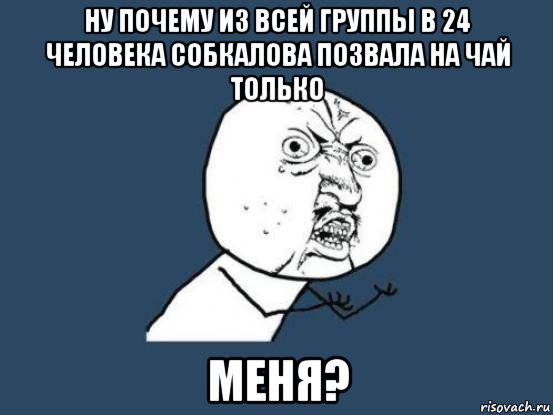 ну почему из всей группы в 24 человека собкалова позвала на чай только меня?, Мем Ну почему