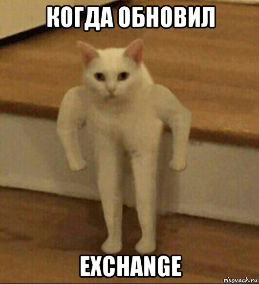 когда обновил exchange, Мем  Полукот