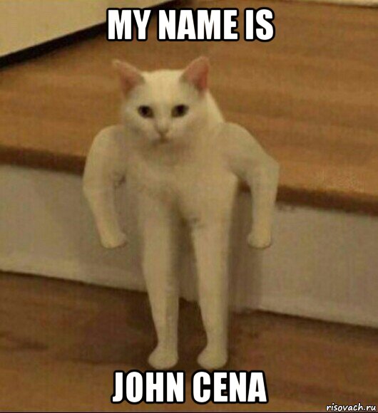 my name is john cena, Мем  Полукот