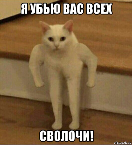 я убью вас всех сволочи!, Мем  Полукот