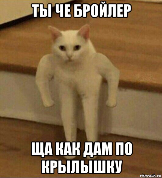 Какое дай сюда