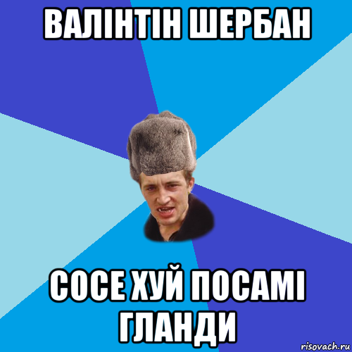 валінтін шербан сосе хуй посамі гланди, Мем Празднчний паца