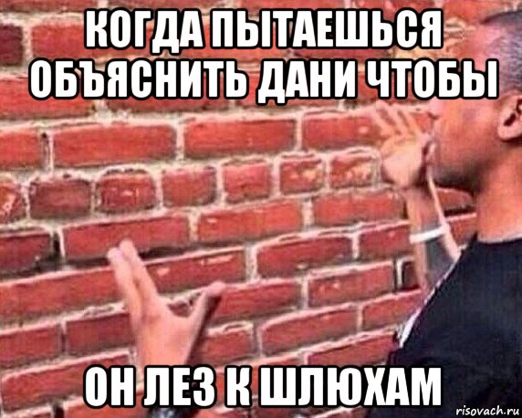 когда пытаешься объяснить дани чтобы он лез к шлюхам, Мем разговор со стеной