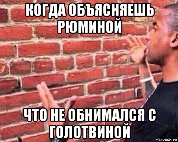 когда объясняешь рюминой что не обнимался с голотвиной, Мем разговор со стеной