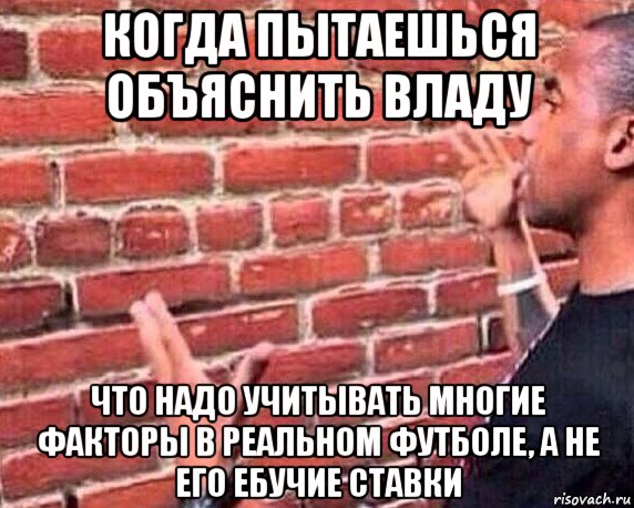 когда пытаешься объяснить владу что надо учитывать многие факторы в реальном футболе, а не его ебучие ставки, Мем разговор со стеной