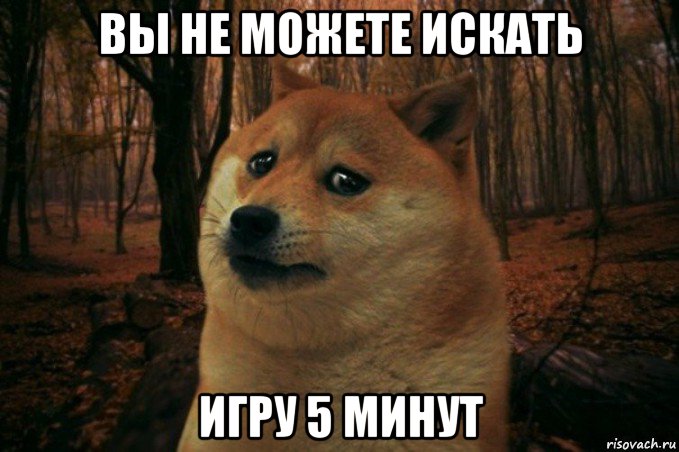 вы не можете искать игру 5 минут, Мем SAD DOGE