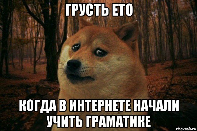 грусть ето когда в интернете начали учить граматике, Мем SAD DOGE