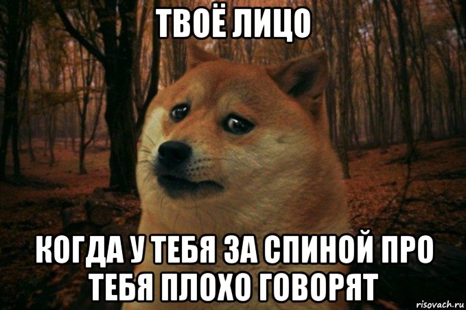 твоё лицо когда у тебя за спиной про тебя плохо говорят, Мем SAD DOGE