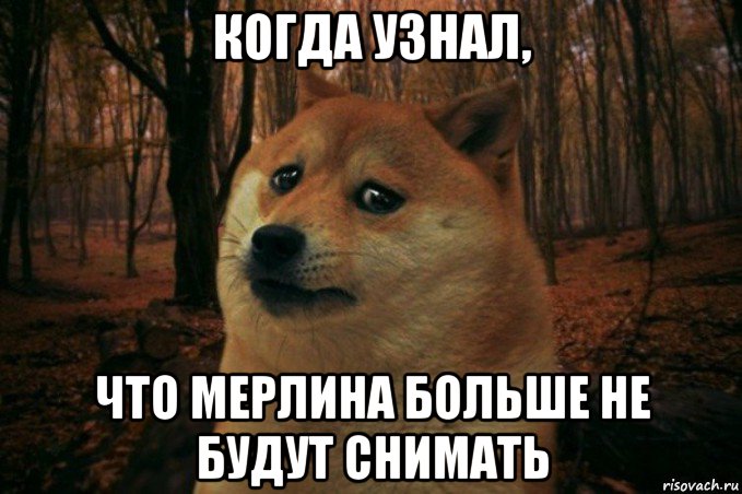 когда узнал, что мерлина больше не будут снимать, Мем SAD DOGE