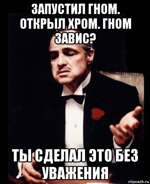 запустил гном. открыл хром. гном завис? ты сделал это без уважения, Мем ты делаешь это без уважения