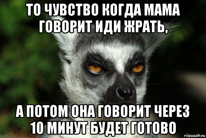 то чувство когда мама говорит иди жрать, а потом она говорит через 10 минут будет готово, Мем   Я збагоен