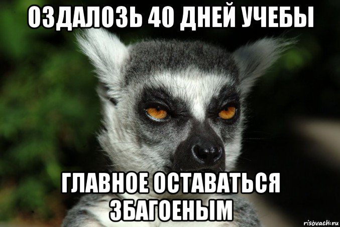 оздалозь 40 дней учебы главное оставаться збагоеным, Мем   Я збагоен