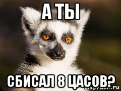 а ты сбисал 8 цасов?, Мем Я збагоен