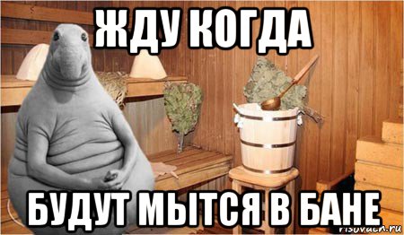 жду когда будут мытся в бане