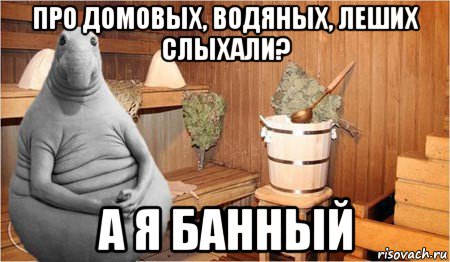 про домовых, водяных, леших слыхали? а я банный